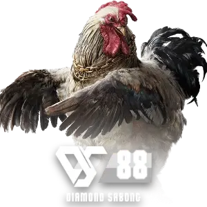 phjoy SPORTS-DS88.webp